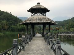-田野绿世界
