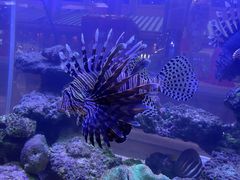 -舜耕山庄四时万和自助餐厅