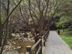 -牛背梁国家森林公园