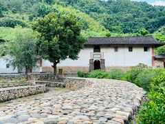 -福建土楼（华安）旅游区•大地土楼群