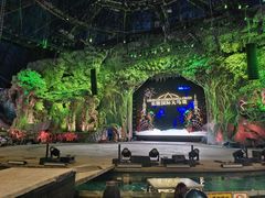 -广州长隆国际大马戏