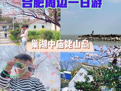 -巢湖姥山岛