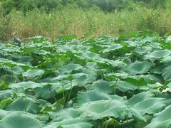 -苏州河梦清园环保主题公园