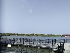 -上海都市菜园