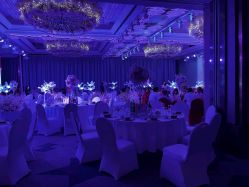 -曼格纳婚礼艺术中心(张江店)