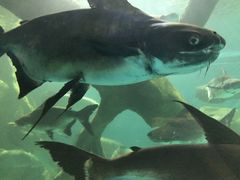 -多彩贵州城极地海洋世界