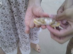 -西涌国际滨海旅游区