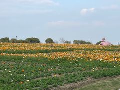 -歌斐颂巧克力小镇