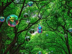 -上海共青森林公园