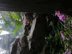 android_upload_pic-宝岩生态观光园