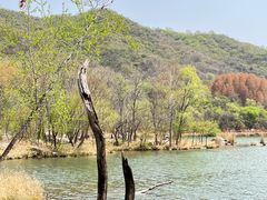 -玉渡山自然风景区