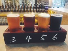 啤酒试饮-Twin Tails Brewpub双尾精酿餐吧(八坼店)