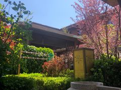 -大连金石滩绿发温泉假日酒店