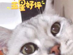 -海底捞火锅(杭州庆春路夜宵主题店)