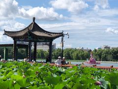 -莲花池公园
