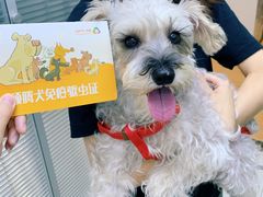 -瑞派宠物医院(锦江店)