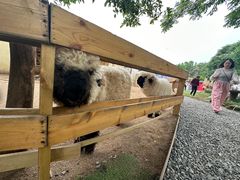 -HERRE·FARM 赫尔露营农场·团建聚会包场