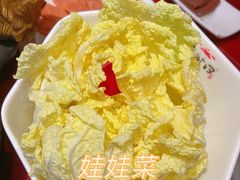 娃娃菜-袁老四重庆老火锅(桐梓坡店)