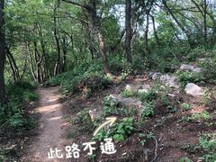 -老山国家森林公园