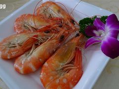 对虾-海岛渔村大酒店(云霄路店)
