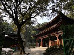 -灵岩山风景区