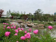 -西海子公园