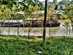 -运河游船(武林门码头)