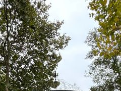 -青岛德国总督楼旧址博物馆