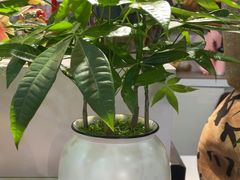 -花里花店(唐镇阳光天地店)