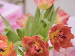 -盒马鲜生(曜一城店)