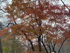 -丹东天桥沟景区