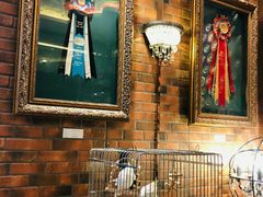 -more than meow吴止猫主题餐厅(承德 中船汇店)