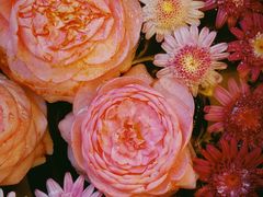 -兰纳泰式spa(古城店)