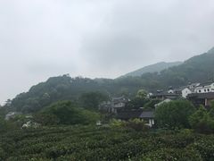 -龙井村