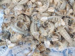 -盛华世家商业广场农贸水产综合批发市场