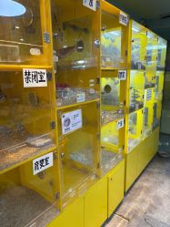 -神奇动物撸宠馆·羊驼·小浣熊·异宠(豫园店)