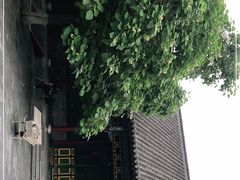 -张学良旧居陈列馆