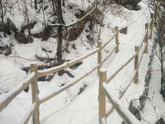 -青峰峡国家森林公园