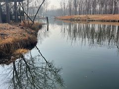 -溱湖国家湿地公园