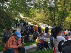 -杭州少年儿童公园