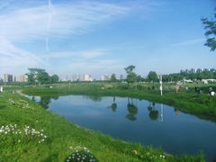 -洋湖国家湿地公园
