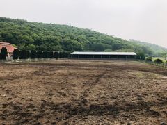 -平湖九龙山旅游度假区