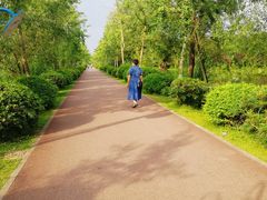 -白鹭湾湿地公园