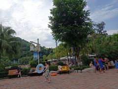 -重庆海昌加勒比海水世界