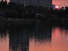 -海珠湖公园