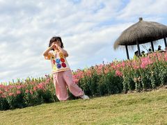 -径山花海