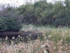 -昆山城市生态森林公园