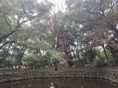 -阿育王寺