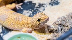 -酷嗒动物文化乐园(cutezoo西溪乐天城店)