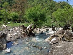 -狮子沟牧场